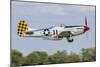 A P-51 Mustang Takes Off from Oshkosh, Wisconsin-Stocktrek Images-Mounted Photographic Print