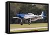 A P-51 Mustang Takes Off from Waukegan, Illinois-Stocktrek Images-Framed Stretched Canvas