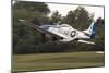 A P-51 Mustang Takes Off from Waukegan, Illinois-Stocktrek Images-Mounted Photographic Print