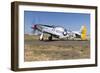 A P-51 Mustang Taxiing at Vacaville, California-Stocktrek Images-Framed Photographic Print