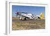 A P-51 Mustang Taxiing at Vacaville, California-Stocktrek Images-Framed Photographic Print