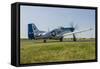 A P-51 Mustang Taxiing at Waukegan, Illinois-Stocktrek Images-Framed Stretched Canvas