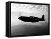 A P-51A Mustang in Flight-Stocktrek Images-Framed Stretched Canvas