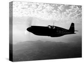A P-51A Mustang in Flight-Stocktrek Images-Stretched Canvas