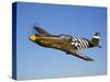 A P-51A Mustang in Flight-Stocktrek Images-Stretched Canvas