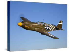 A P-51A Mustang in Flight-Stocktrek Images-Stretched Canvas