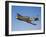 A P-51A Mustang in Flight-Stocktrek Images-Framed Photographic Print