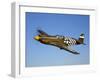 A P-51A Mustang in Flight-Stocktrek Images-Framed Photographic Print