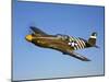 A P-51A Mustang in Flight-Stocktrek Images-Mounted Photographic Print