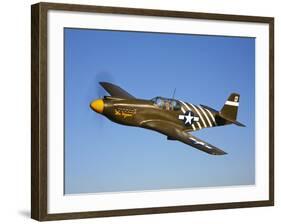 A P-51A Mustang in Flight-Stocktrek Images-Framed Photographic Print