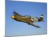 A P-51A Mustang in Flight-Stocktrek Images-Mounted Photographic Print