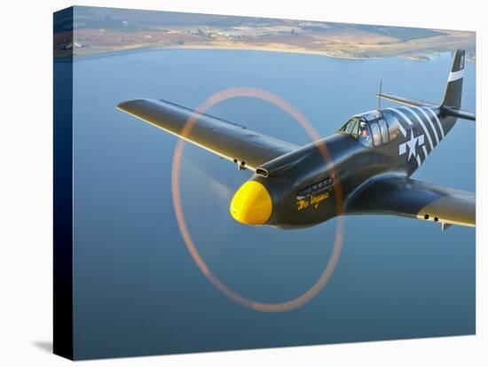 A P-51A Mustang in Flight-Stocktrek Images-Stretched Canvas