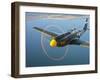 A P-51A Mustang in Flight-Stocktrek Images-Framed Photographic Print