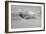 A P-51D Mustang in Flight Near Hollister, California-null-Framed Photographic Print