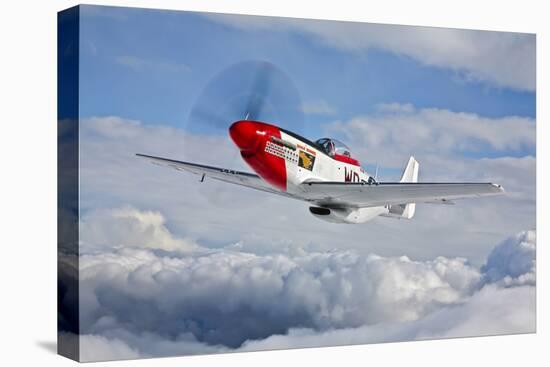 A P-51D Mustang in Flight Near Hollister, California-null-Stretched Canvas