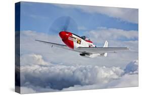 A P-51D Mustang in Flight Near Hollister, California-null-Stretched Canvas