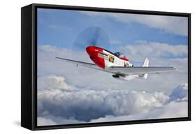 A P-51D Mustang in Flight Near Hollister, California-null-Framed Stretched Canvas