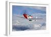 A P-51D Mustang in Flight Near Hollister, California-null-Framed Photographic Print