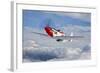 A P-51D Mustang in Flight Near Hollister, California-null-Framed Photographic Print