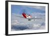 A P-51D Mustang in Flight Near Hollister, California-null-Framed Photographic Print