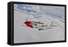 A P-51D Mustang in Flight Near Hollister, California-null-Framed Stretched Canvas