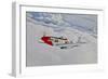 A P-51D Mustang in Flight Near Hollister, California-null-Framed Photographic Print