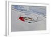 A P-51D Mustang in Flight Near Hollister, California-null-Framed Photographic Print