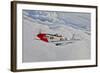 A P-51D Mustang in Flight Near Hollister, California-null-Framed Photographic Print