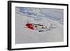 A P-51D Mustang in Flight Near Hollister, California-null-Framed Photographic Print