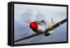 A P-51D Mustang in Flight Near Prescott, Arizona-null-Framed Stretched Canvas