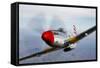 A P-51D Mustang in Flight Near Prescott, Arizona-null-Framed Stretched Canvas