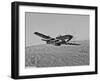 A P-51D Mustang in Flight Over Hollister, California-Stocktrek Images-Framed Photographic Print