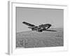 A P-51D Mustang in Flight Over Hollister, California-Stocktrek Images-Framed Photographic Print