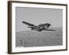 A P-51D Mustang in Flight Over Hollister, California-Stocktrek Images-Framed Photographic Print