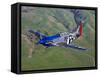 A P-51D Mustang in Flight Over Hollister, California-Stocktrek Images-Framed Stretched Canvas