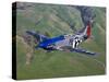 A P-51D Mustang in Flight Over Hollister, California-Stocktrek Images-Stretched Canvas