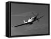 A P-51D Mustang in Flight-Stocktrek Images-Framed Stretched Canvas