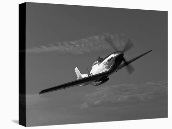 A P-51D Mustang in Flight-Stocktrek Images-Stretched Canvas
