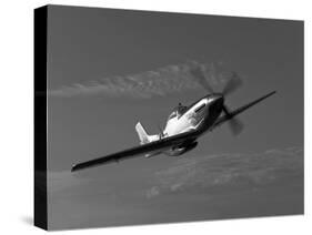 A P-51D Mustang in Flight-Stocktrek Images-Stretched Canvas