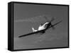 A P-51D Mustang in Flight-Stocktrek Images-Framed Stretched Canvas