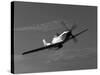 A P-51D Mustang in Flight-Stocktrek Images-Stretched Canvas