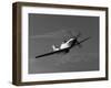 A P-51D Mustang in Flight-Stocktrek Images-Framed Photographic Print