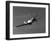 A P-51D Mustang in Flight-Stocktrek Images-Framed Photographic Print