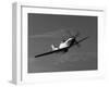 A P-51D Mustang in Flight-Stocktrek Images-Framed Photographic Print