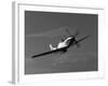 A P-51D Mustang in Flight-Stocktrek Images-Framed Photographic Print