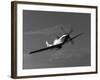 A P-51D Mustang in Flight-Stocktrek Images-Framed Photographic Print