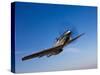 A P-51D Mustang in Flight-Stocktrek Images-Stretched Canvas