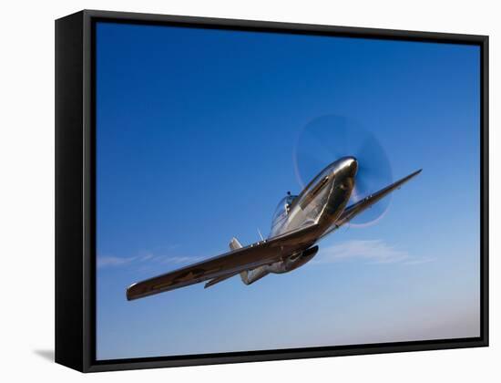 A P-51D Mustang in Flight-Stocktrek Images-Framed Stretched Canvas