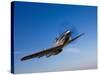 A P-51D Mustang in Flight-Stocktrek Images-Stretched Canvas