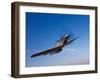 A P-51D Mustang in Flight-Stocktrek Images-Framed Photographic Print